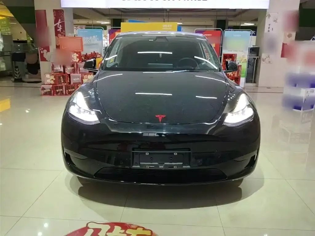 Tesla Model Y — фото 9
