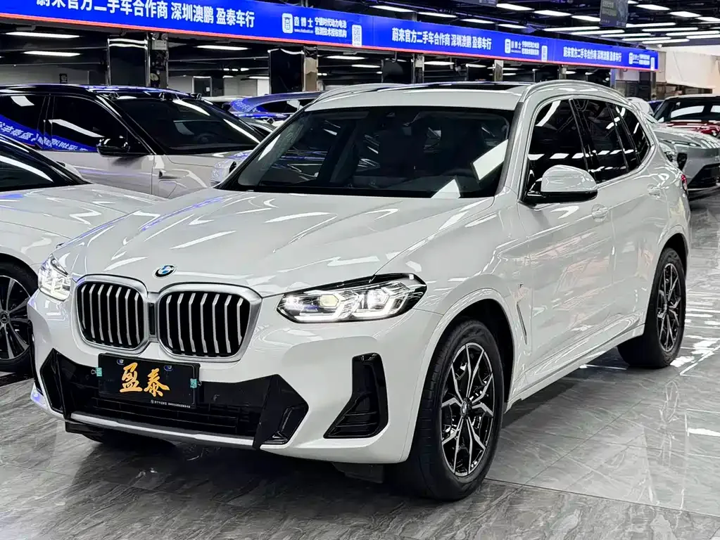 BMW X3 — фото 1