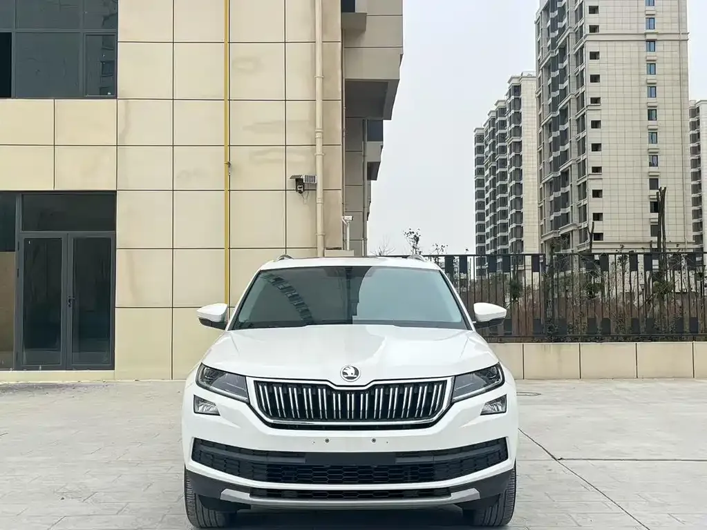 Skoda Kodiaq 2022 из CN, фото 3