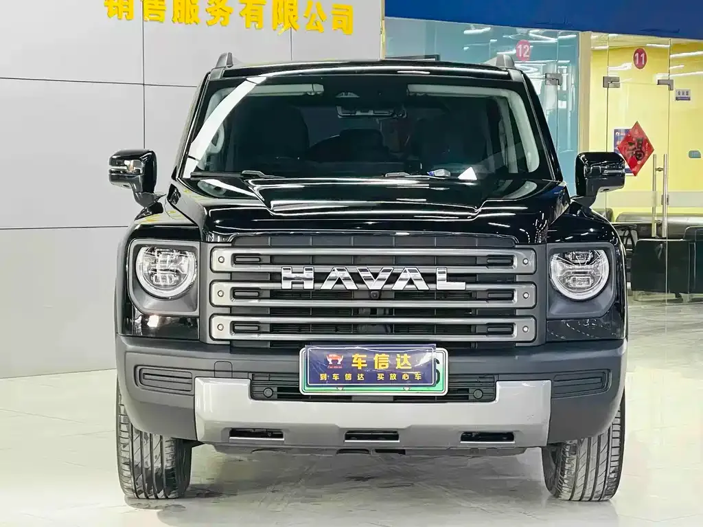 Haval Menglong New Energy 2024 из CN, фото 2