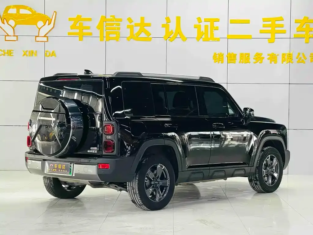 Haval Menglong New Energy 2024 из CN, фото 5