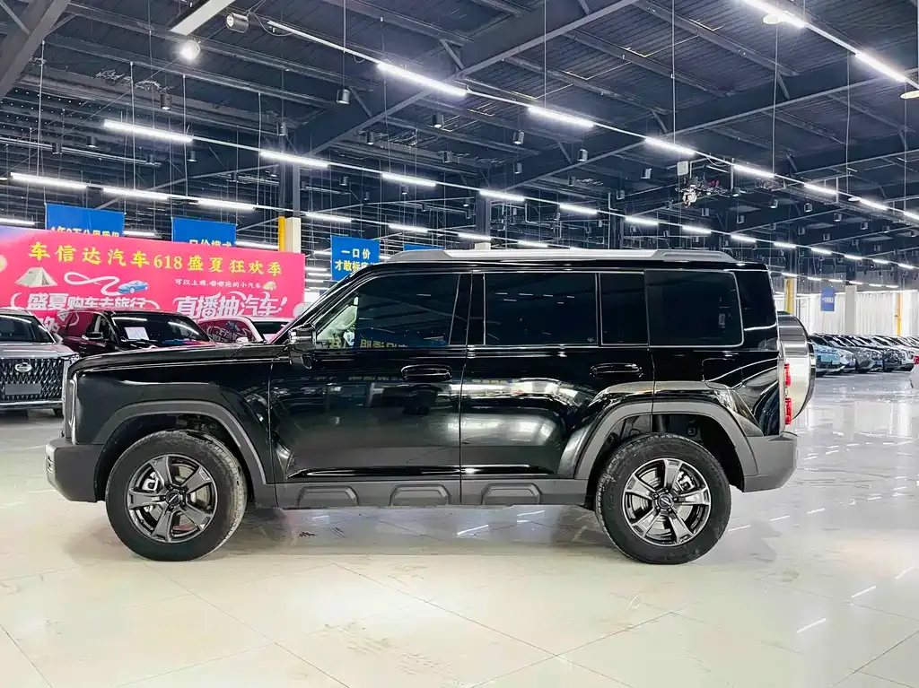Haval Menglong New Energy 2024 из CN, фото 10
