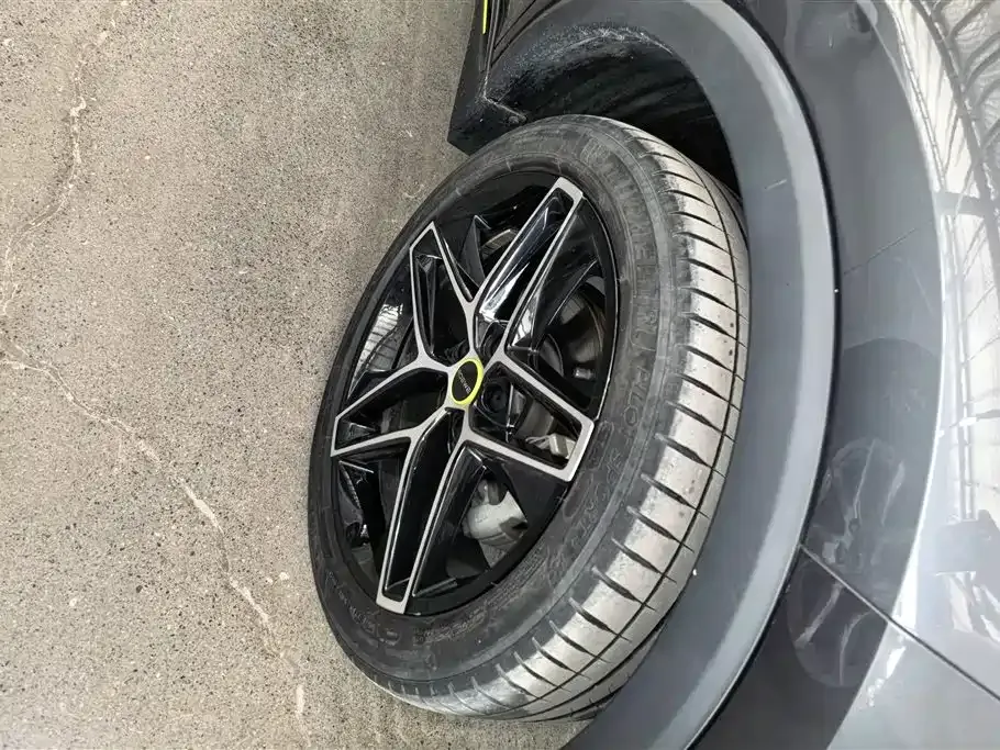 Roewe RX5 New Energy 2022 из CN, фото 10
