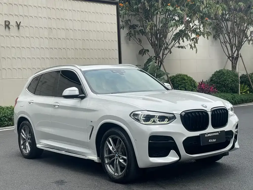 BMW X3 2021 из CN, фото 6