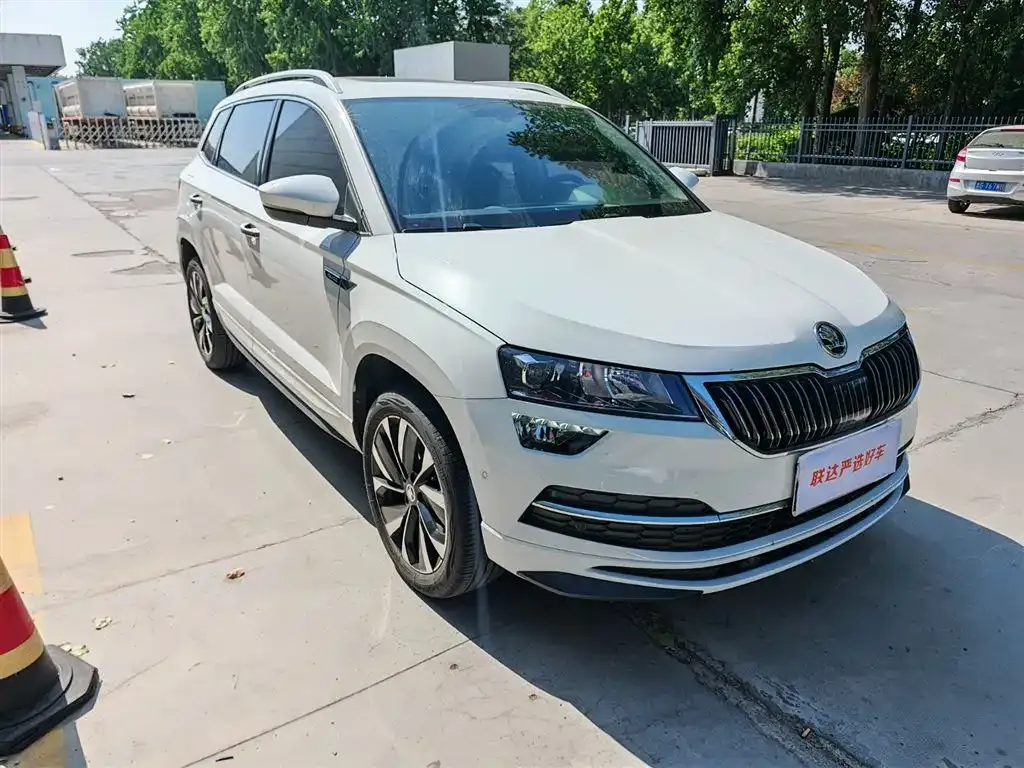 Skoda Karoq — фото 7