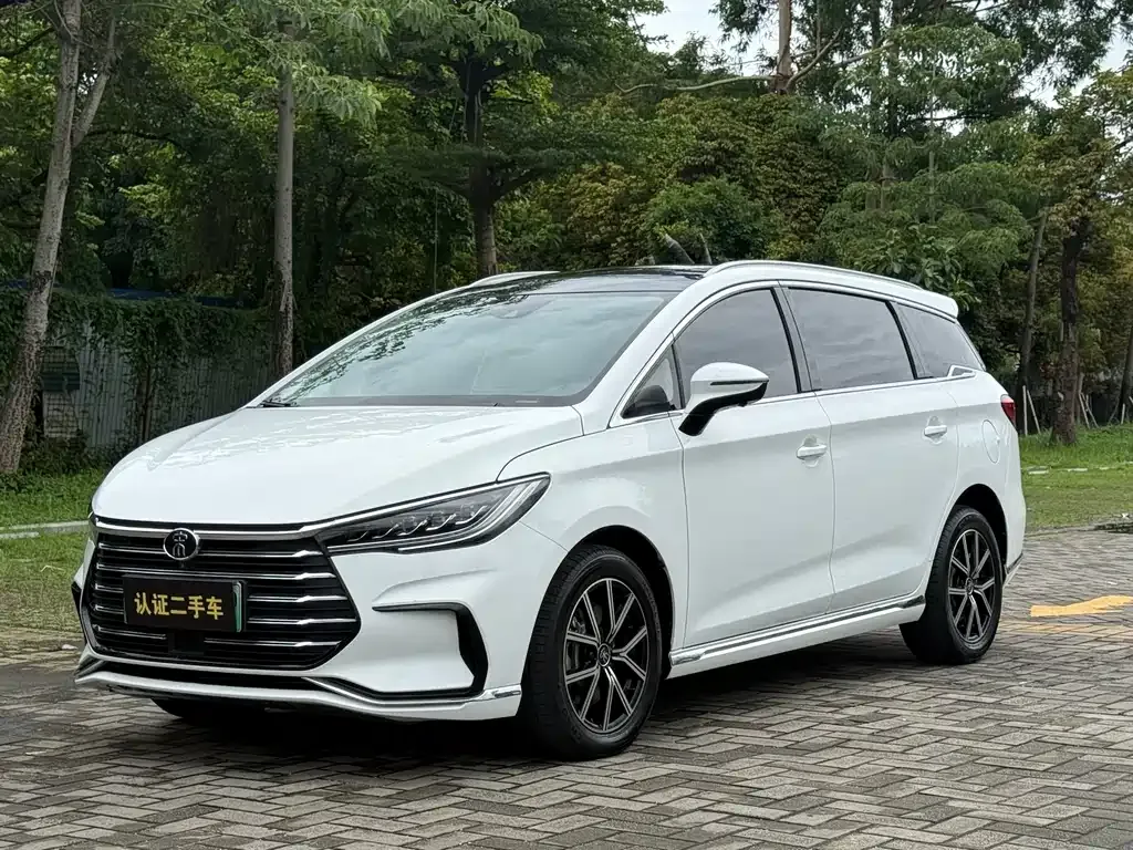 BYD MAX New Energy