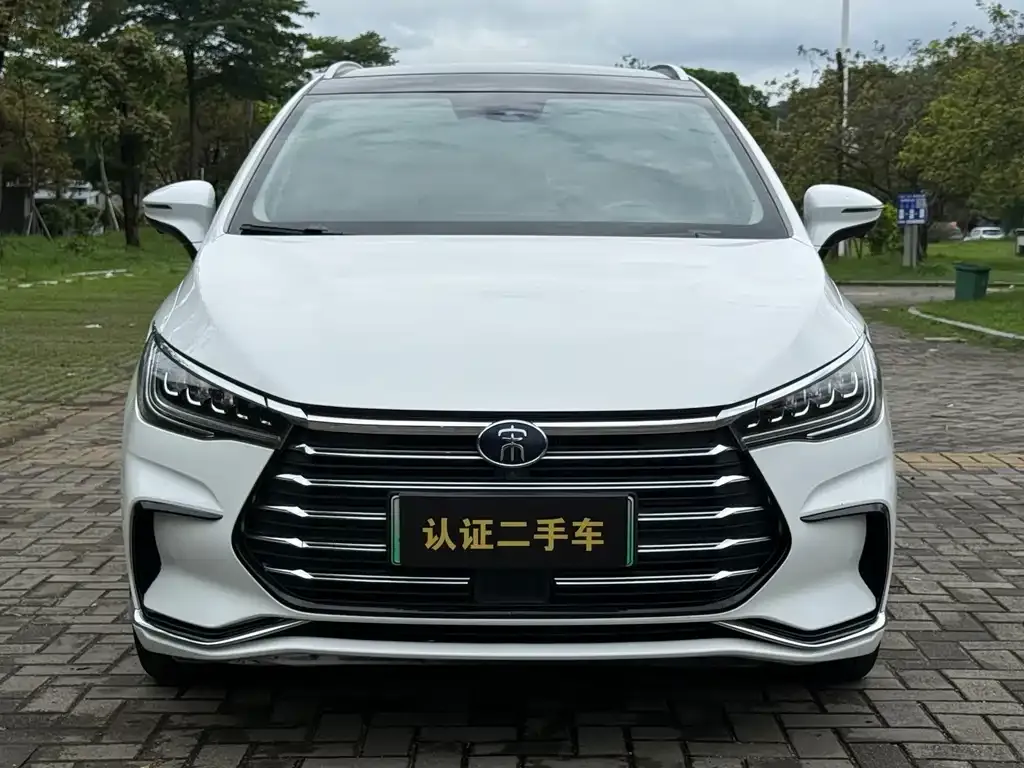 BYD MAX New Energy 2022 из CN, фото 4