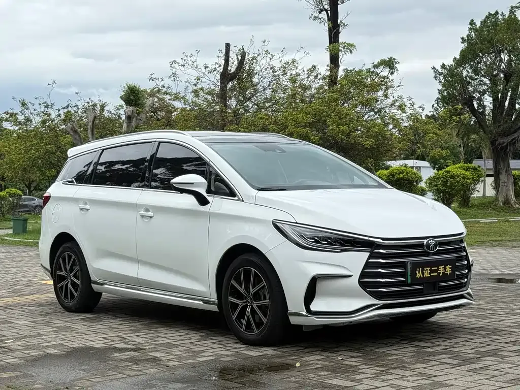 BYD MAX New Energy 2022 из CN, фото 8