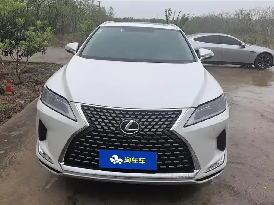 Lexus RX 2021 из CN, фото 4