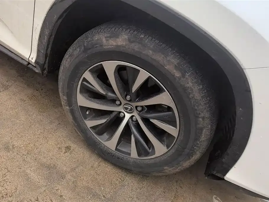 Lexus RX 2021 из CN, фото 6