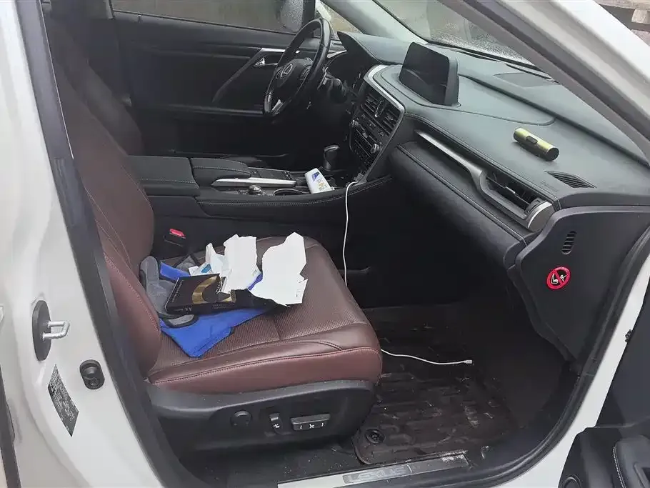 Lexus RX 2021 из CN, фото 8