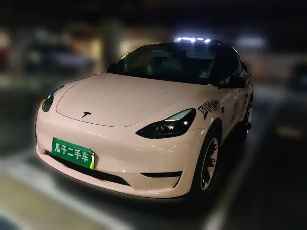 Tesla Model Y — фото 1