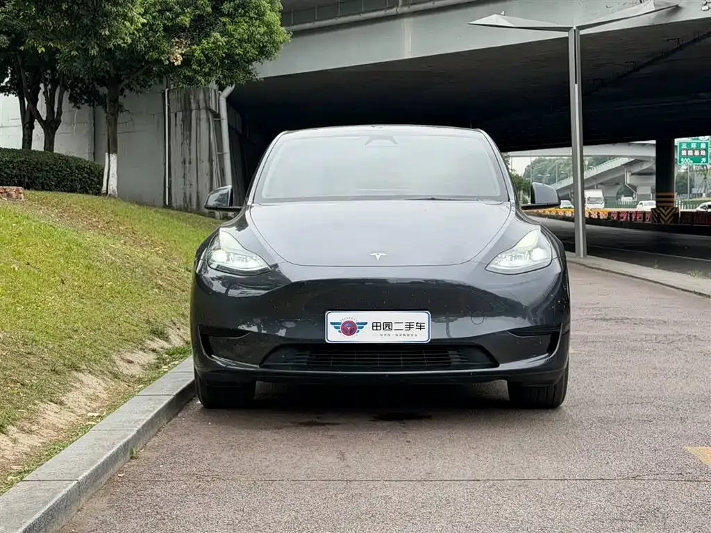 Tesla Model Y — фото 10