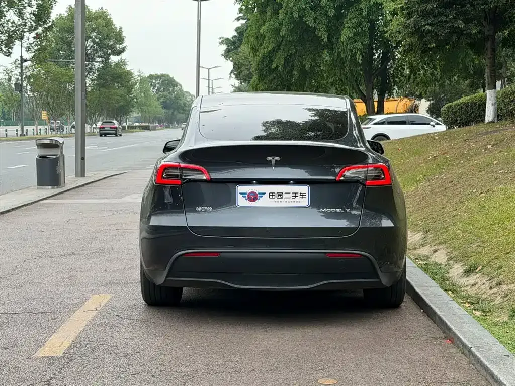 Tesla Model Y — фото 9