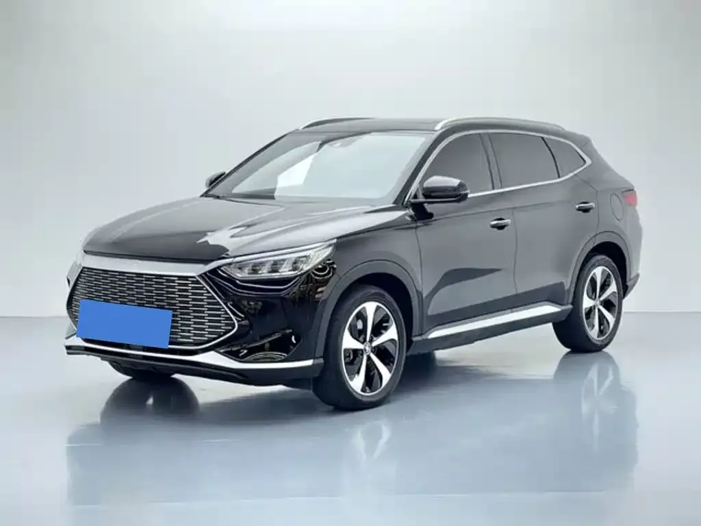 BYD PLUS New Energy — фото 1
