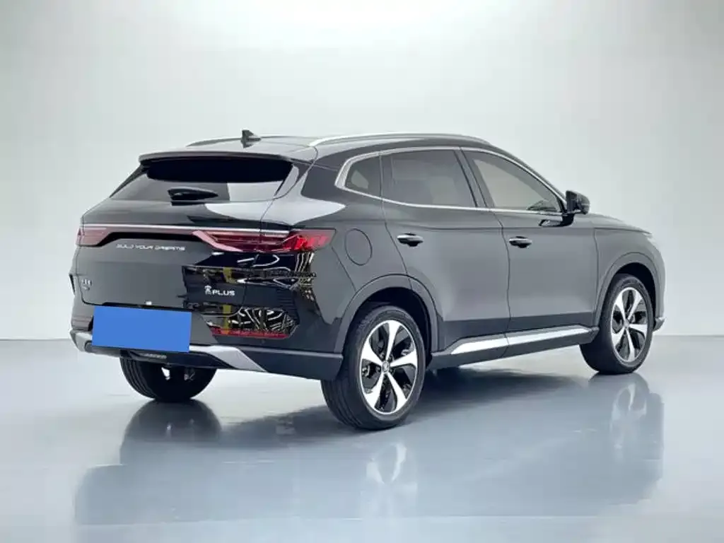 BYD PLUS New Energy — фото 3