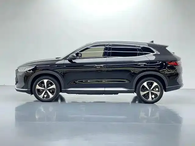BYD PLUS New Energy — фото 10