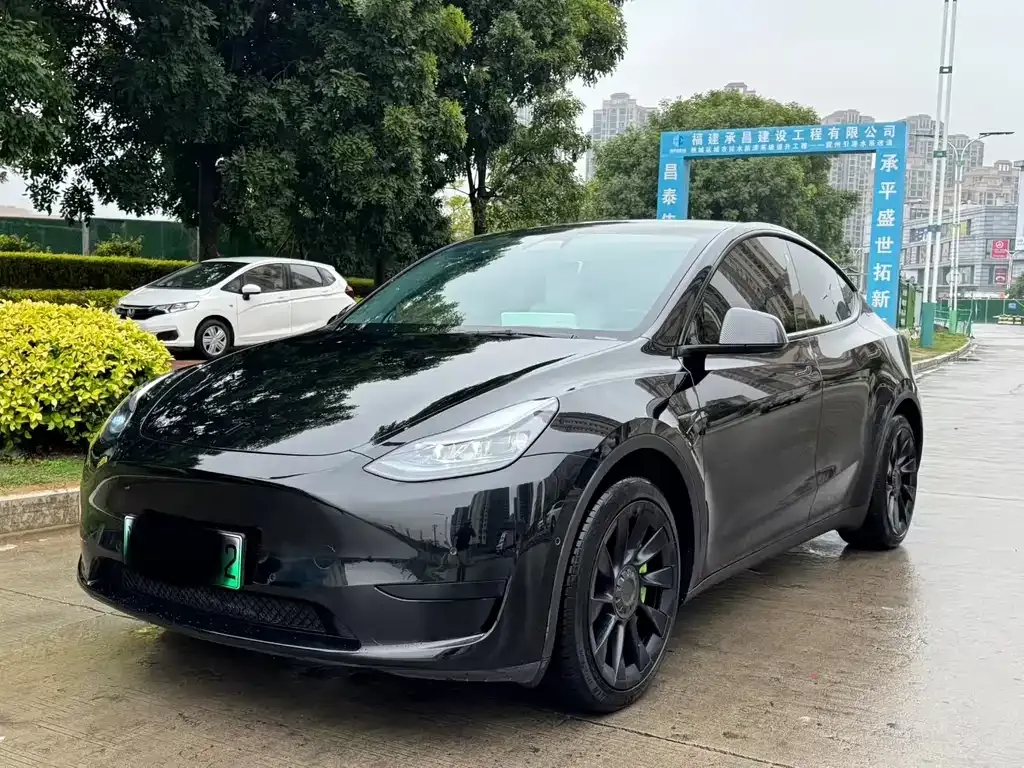 Tesla Model Y — фото 1