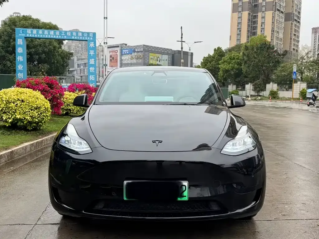 Tesla Model Y — фото 7