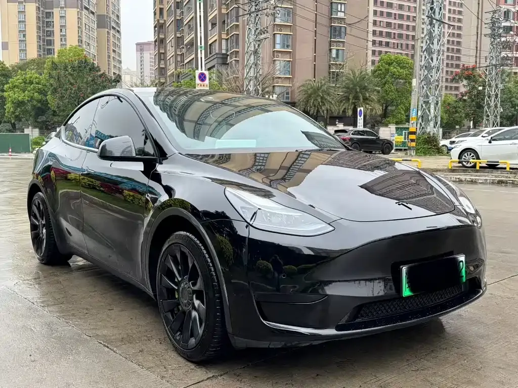 Tesla Model Y — фото 8