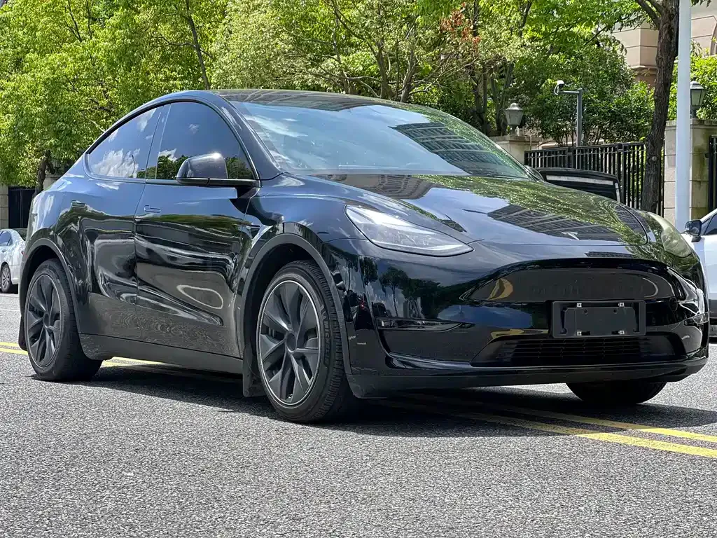 Tesla Model Y — фото 5