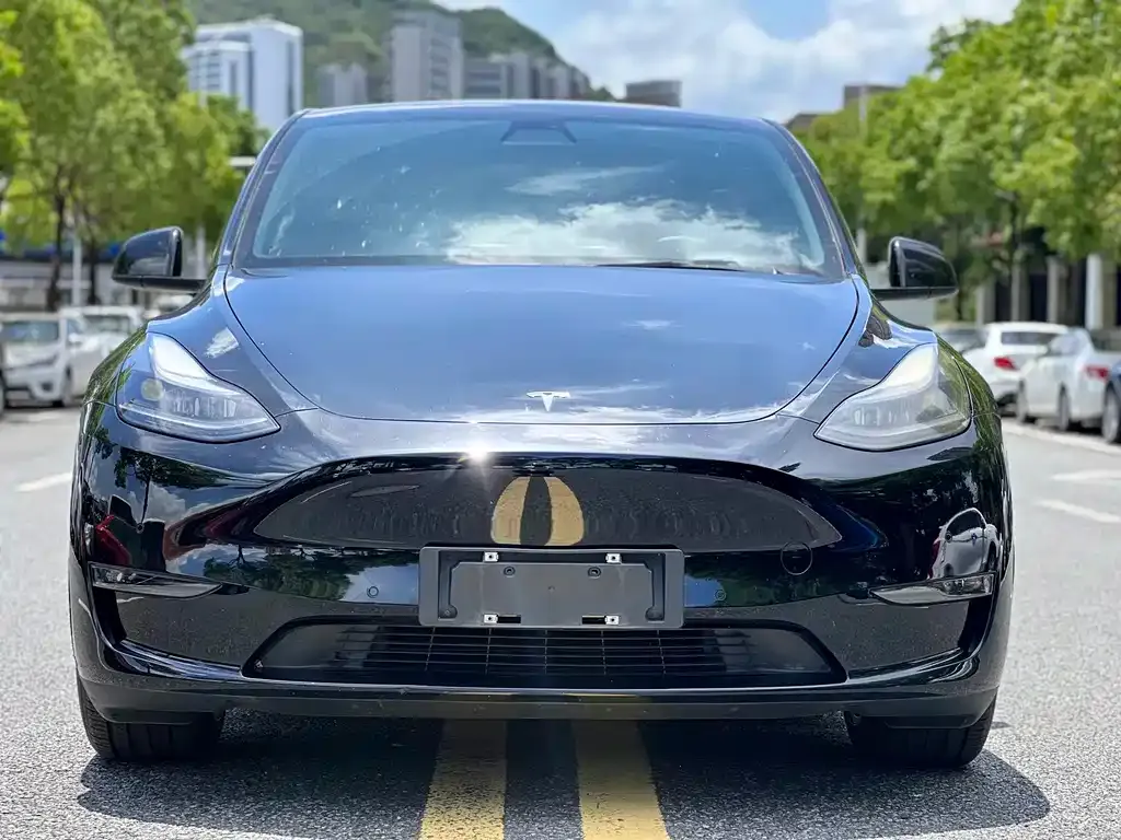 Tesla Model Y — фото 3