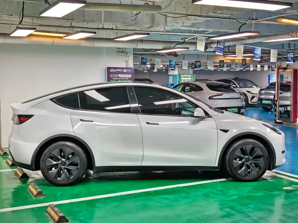 Tesla Model Y — фото 10