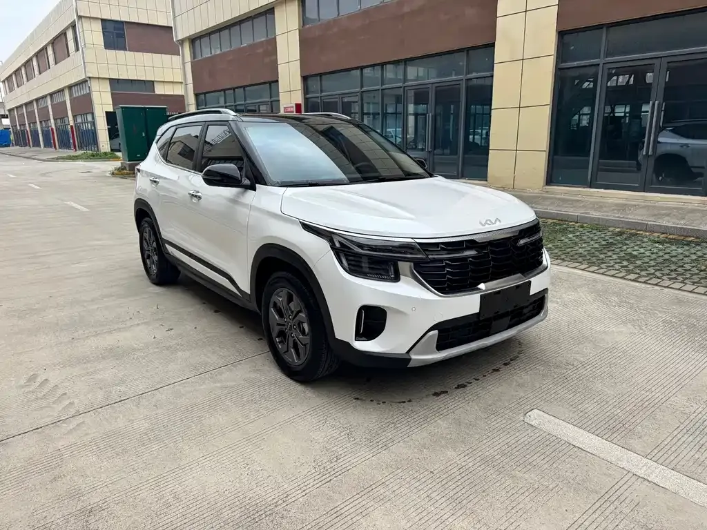 Kia Seltos 2024 из CN, фото 9