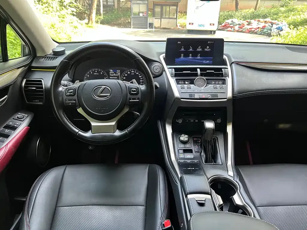 Lexus NX 2021 из CN, фото 3