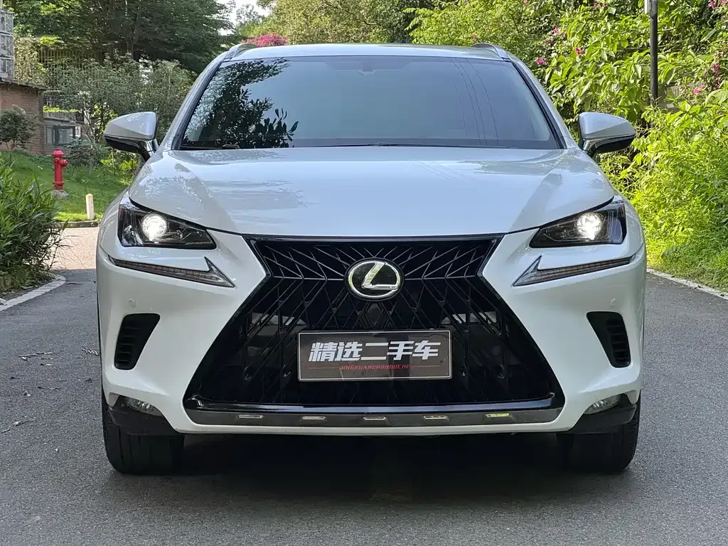 Lexus NX 2021 из CN, фото 9