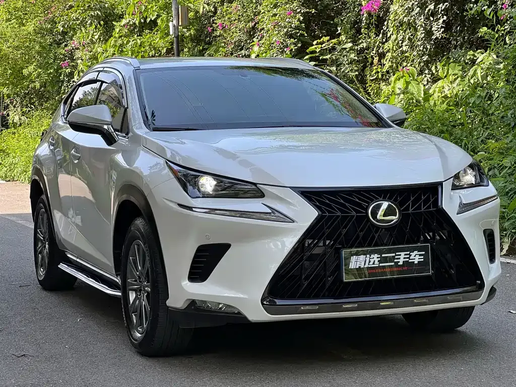 Lexus NX 2021 из CN, фото 10