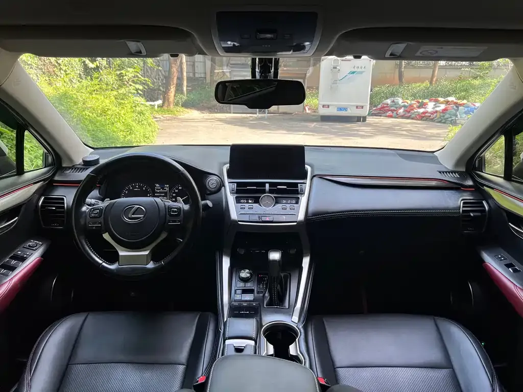 Lexus NX 2021 из CN, фото 6