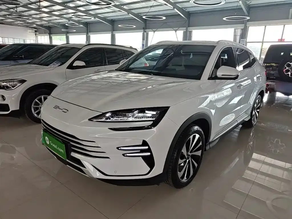 BYD PLUS New Energy — фото 6
