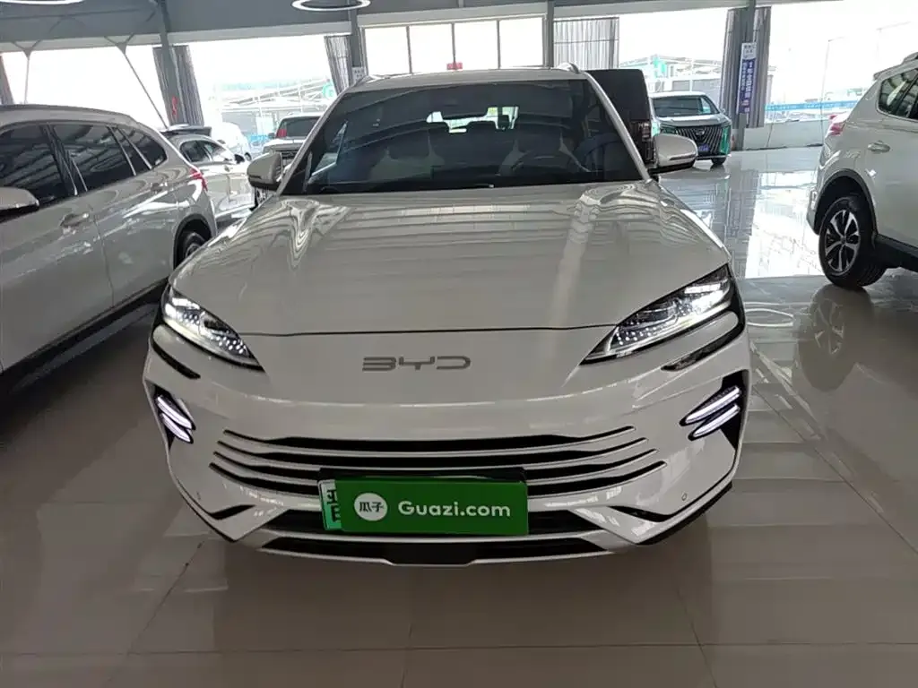 BYD PLUS New Energy — фото 9