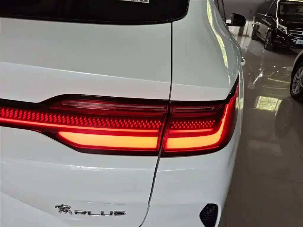 BYD PLUS New Energy — фото 2