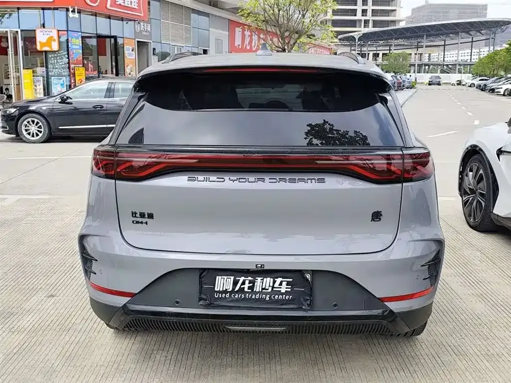 BYD Tang New Energy — фото 6