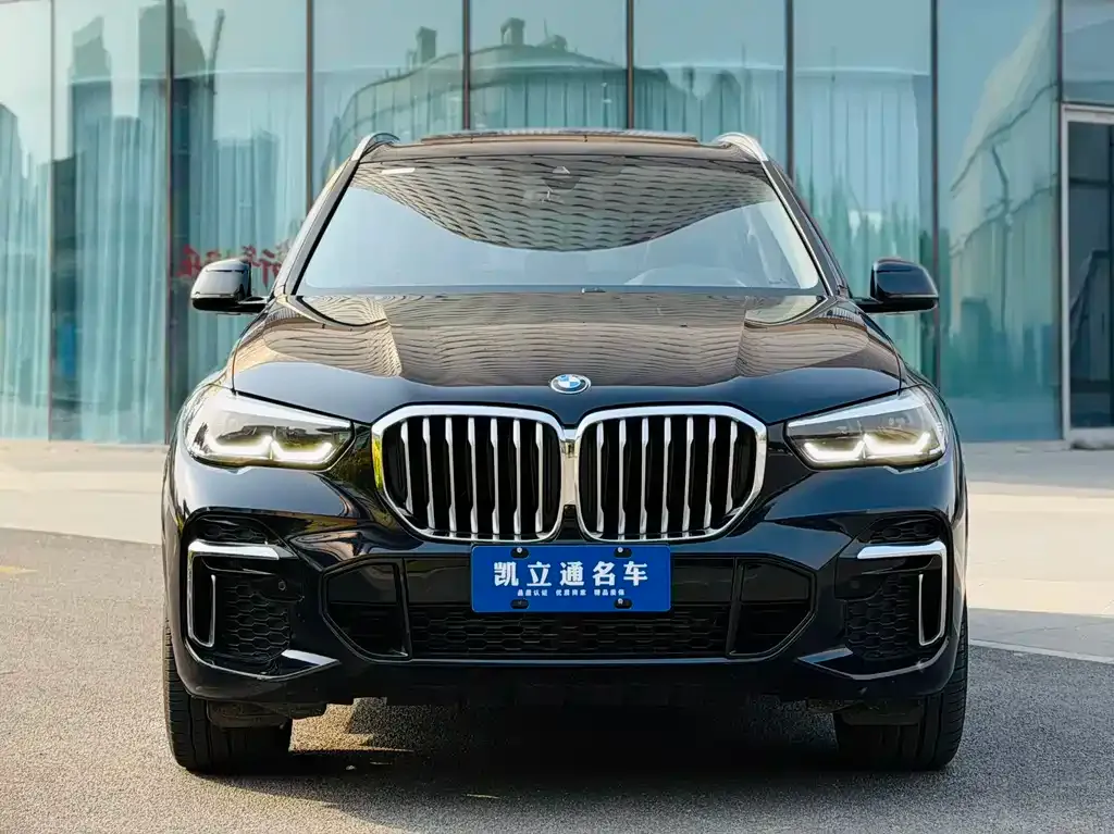 BMW X5 — фото 8