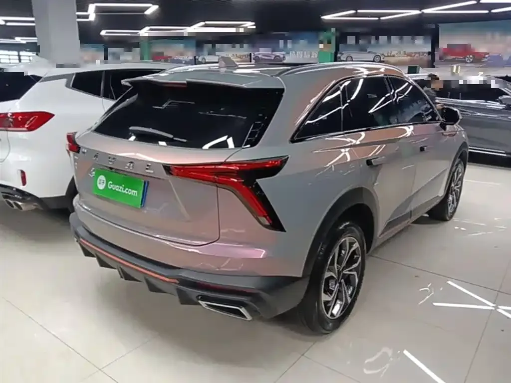 Haval Shenshou 2022 из CN, фото 7