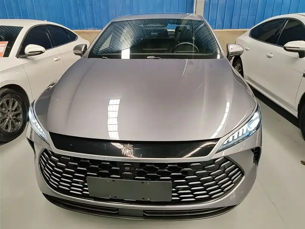 BYD Qin PLUS — фото 2