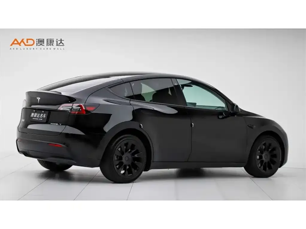 Tesla Model Y — фото 2