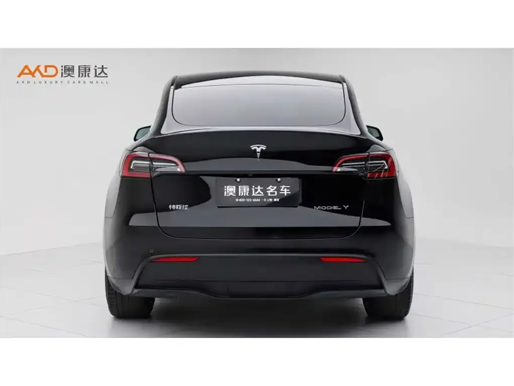 Tesla Model Y — фото 4