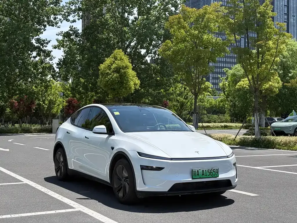 Tesla Model Y — фото 10