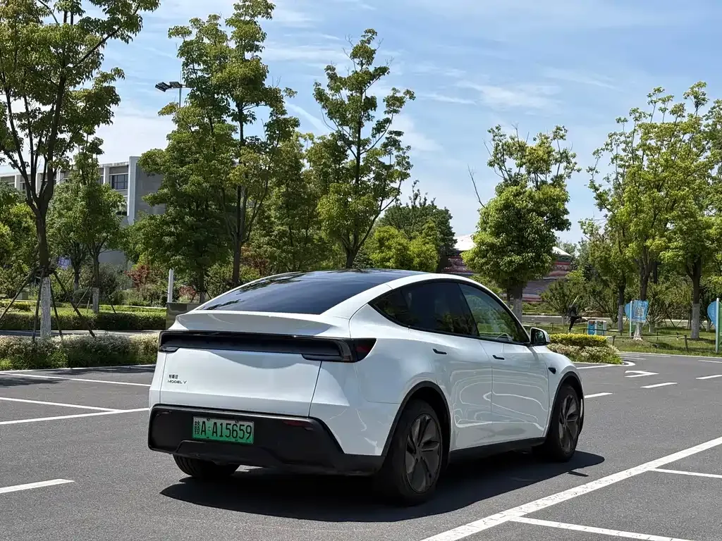 Tesla Model Y — фото 8