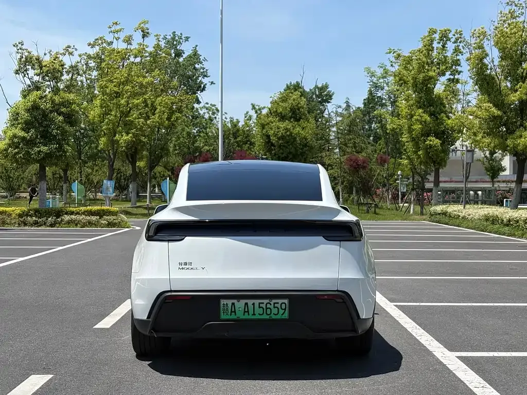Tesla Model Y — фото 6