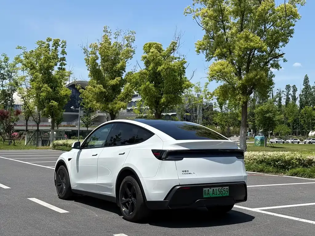 Tesla Model Y — фото 7