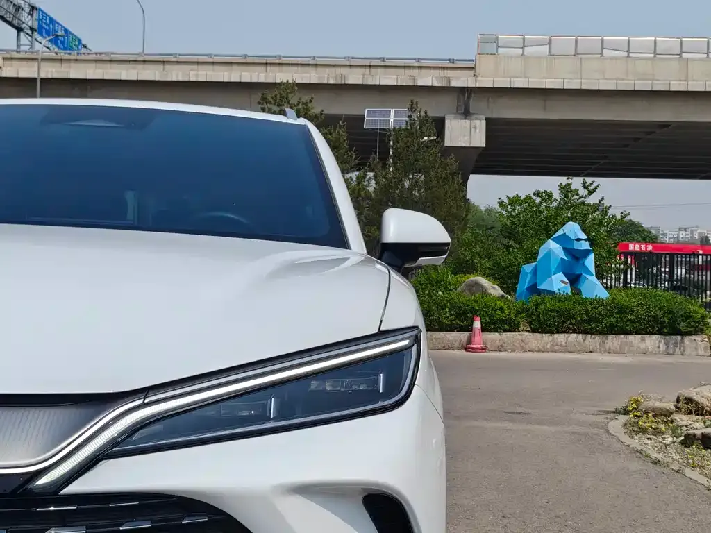 BYD L DM-i — фото 4
