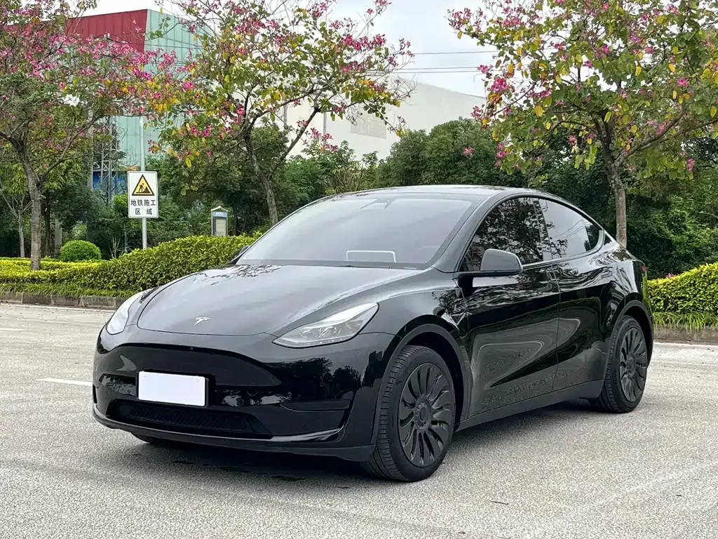 Tesla Model Y — фото 1
