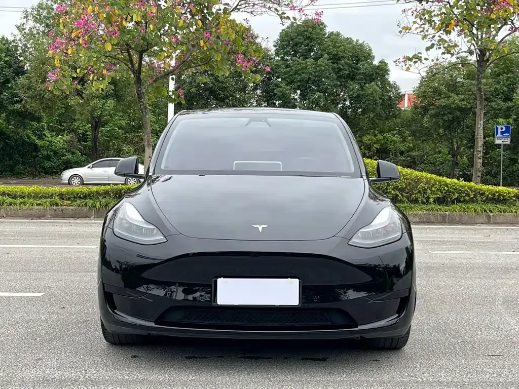 Tesla Model Y — фото 5