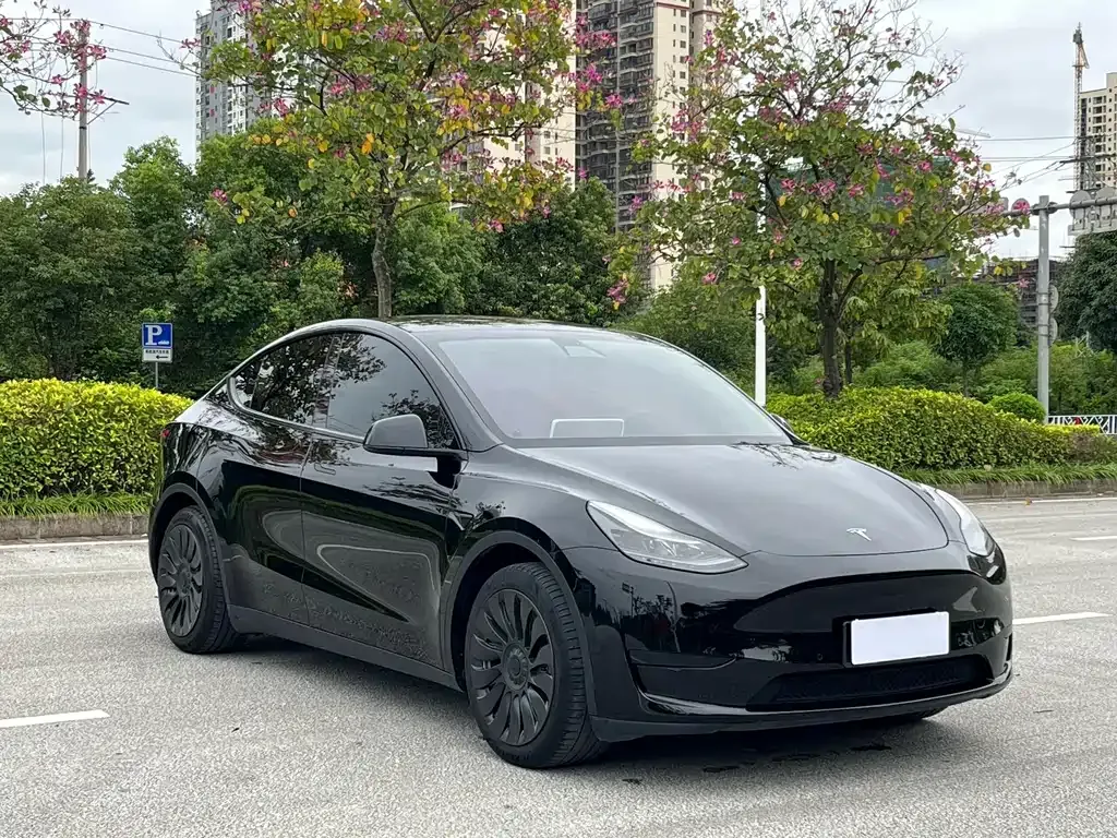 Tesla Model Y — фото 7