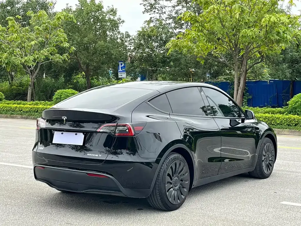Tesla Model Y — фото 8